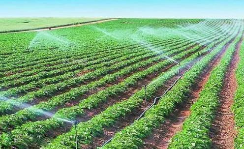 嗯嗯嗯视频农田高 效节水灌溉